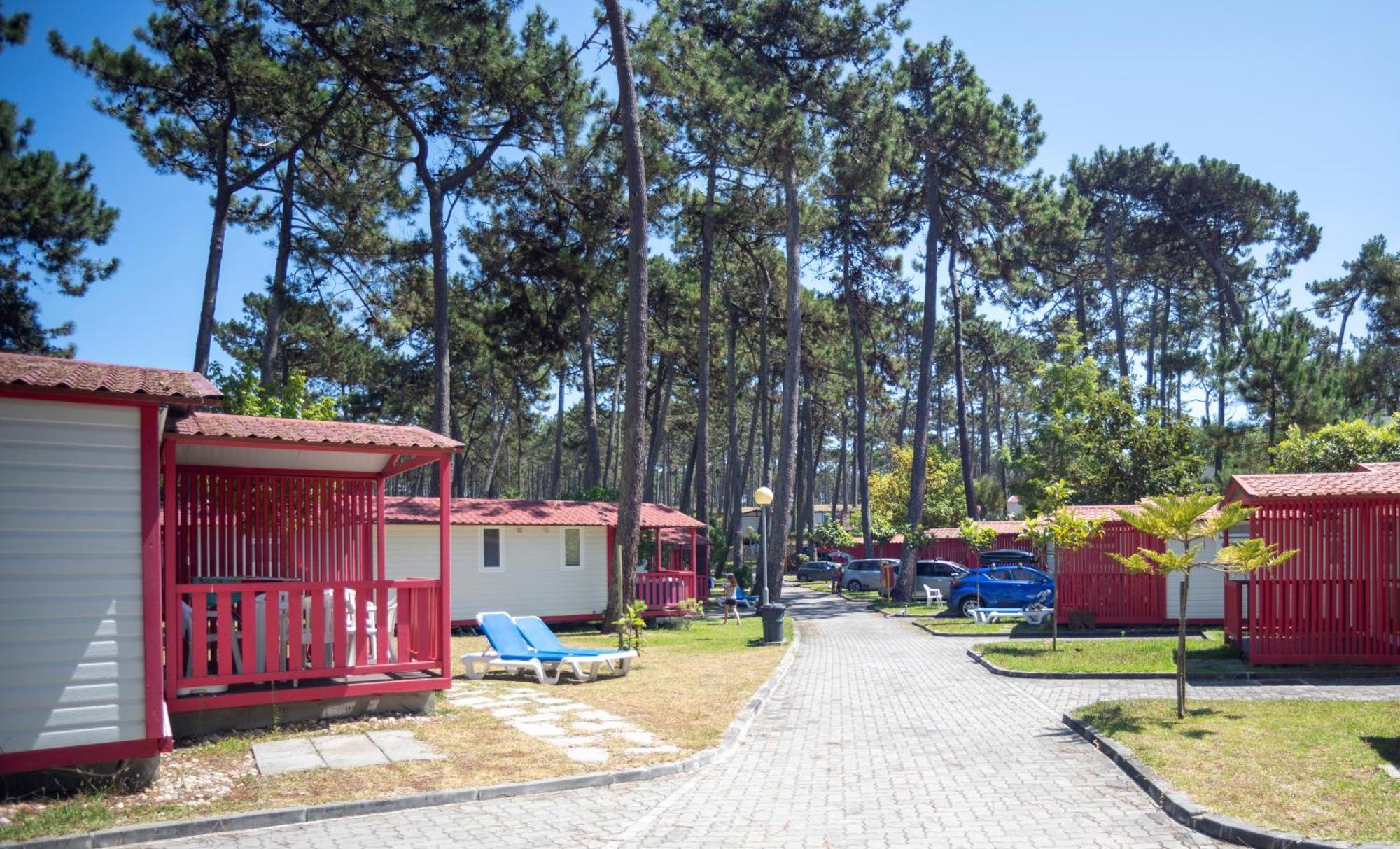 Parque De Campismo Orbitur Sao Pedro De Moel Hotell Rum bild
