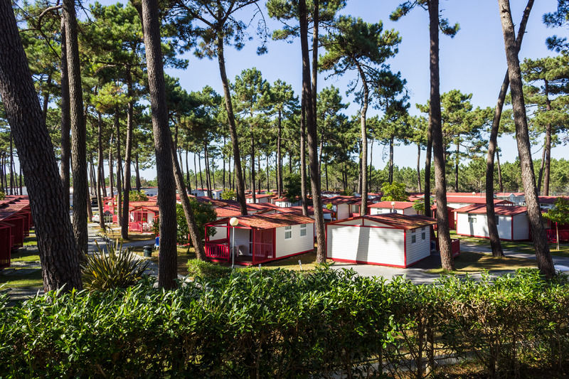 Parque De Campismo Orbitur Sao Pedro De Moel Hotell Exteriör bild