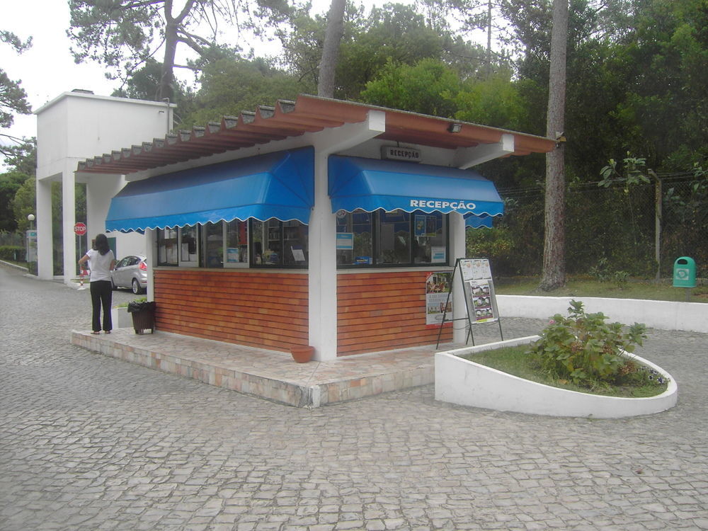 Parque De Campismo Orbitur Sao Pedro De Moel Hotell Exteriör bild